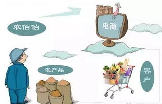 農村電商創業指南 農產品電商網絡搭建全攻略