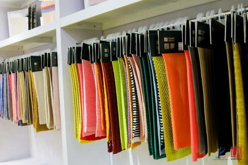 頭條 織交會 今日開館 第十九屆中國 大朗 國際毛織產品交易會迎來高光時刻