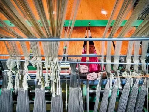 美國出口管制清單新增14類技術(shù)，特種紡織品貿(mào)易面臨新挑戰(zhàn)